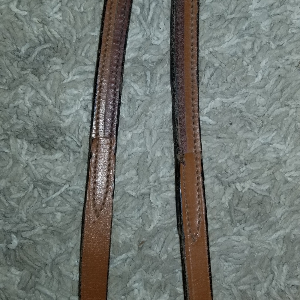 Reins - Picture 3 of 8